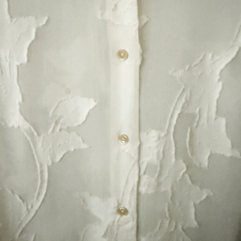 WILFRED x ARITZIA | Off White Floral Appliqué Sheer Shirt Dress Button Down | XS - Picture 5 of 8